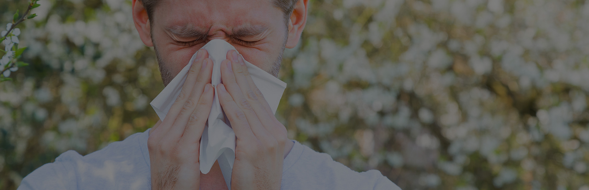 Allergy Sufferers - Denton, Texas